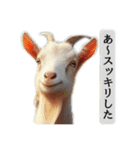 セレブリティヤギさん（個別スタンプ：9）