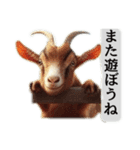 セレブリティヤギさん（個別スタンプ：13）