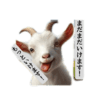 セレブリティヤギさん（個別スタンプ：15）