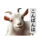 セレブリティヤギさん（個別スタンプ：22）