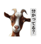 セレブリティヤギさん（個別スタンプ：23）