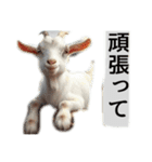 セレブリティヤギさん（個別スタンプ：24）