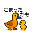 トリのおしゃべり6 - カルガモ3（個別スタンプ：1）