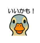 トリのおしゃべり6 - カルガモ3（個別スタンプ：4）