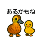 トリのおしゃべり6 - カルガモ3（個別スタンプ：6）