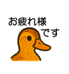 トリのおしゃべり6 - カルガモ3（個別スタンプ：9）
