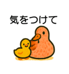 トリのおしゃべり6 - カルガモ3（個別スタンプ：10）