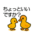 トリのおしゃべり6 - カルガモ3（個別スタンプ：11）
