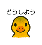 トリのおしゃべり6 - カルガモ3（個別スタンプ：13）