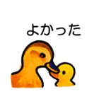 トリのおしゃべり6 - カルガモ3（個別スタンプ：15）