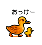 トリのおしゃべり6 - カルガモ3（個別スタンプ：19）