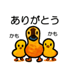 トリのおしゃべり6 - カルガモ3（個別スタンプ：20）