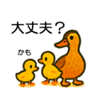 トリのおしゃべり6 - カルガモ3（個別スタンプ：21）