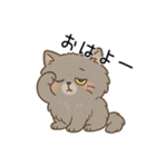 ペルシャ猫のクセつよスタンプ（個別スタンプ：1）