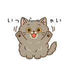 ペルシャ猫のクセつよスタンプ（個別スタンプ：4）