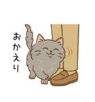 ペルシャ猫のクセつよスタンプ（個別スタンプ：6）