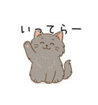 ペルシャ猫のクセつよスタンプ（個別スタンプ：9）