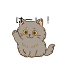 ペルシャ猫のクセつよスタンプ（個別スタンプ：11）