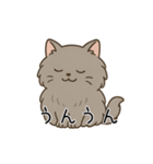 ペルシャ猫のクセつよスタンプ（個別スタンプ：12）