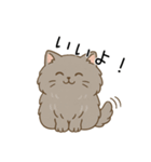 ペルシャ猫のクセつよスタンプ（個別スタンプ：13）