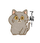 ペルシャ猫のクセつよスタンプ（個別スタンプ：19）