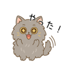 ペルシャ猫のクセつよスタンプ（個別スタンプ：21）