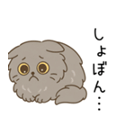 ペルシャ猫のクセつよスタンプ（個別スタンプ：23）