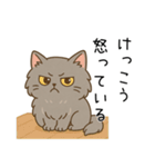 ペルシャ猫のクセつよスタンプ（個別スタンプ：24）