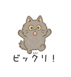 ペルシャ猫のクセつよスタンプ（個別スタンプ：25）