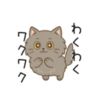 ペルシャ猫のクセつよスタンプ（個別スタンプ：26）