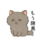 ペルシャ猫のクセつよスタンプ（個別スタンプ：30）