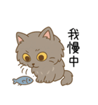 ペルシャ猫のクセつよスタンプ（個別スタンプ：31）