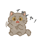 ペルシャ猫のクセつよスタンプ（個別スタンプ：35）