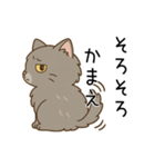 ペルシャ猫のクセつよスタンプ（個別スタンプ：36）
