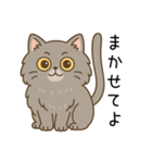 ペルシャ猫のクセつよスタンプ（個別スタンプ：37）