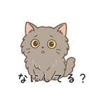 ペルシャ猫のクセつよスタンプ（個別スタンプ：38）