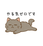 ペルシャ猫のクセつよスタンプ（個別スタンプ：40）