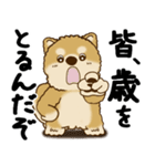 柴犬 『誰だって年を取るのよ』2025（個別スタンプ：4）