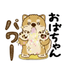 柴犬 『誰だって年を取るのよ』2025（個別スタンプ：5）