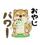 柴犬 『誰だって年を取るのよ』2025（個別スタンプ：6）