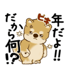 柴犬 『誰だって年を取るのよ』2025（個別スタンプ：7）