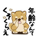 柴犬 『誰だって年を取るのよ』2025（個別スタンプ：8）