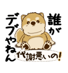 柴犬 『誰だって年を取るのよ』2025（個別スタンプ：9）