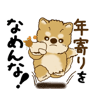 柴犬 『誰だって年を取るのよ』2025（個別スタンプ：11）