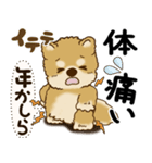 柴犬 『誰だって年を取るのよ』2025（個別スタンプ：13）