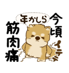 柴犬 『誰だって年を取るのよ』2025（個別スタンプ：14）