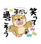 柴犬 『誰だって年を取るのよ』2025（個別スタンプ：16）
