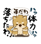 柴犬 『誰だって年を取るのよ』2025（個別スタンプ：17）