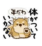 柴犬 『誰だって年を取るのよ』2025（個別スタンプ：18）