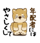 柴犬 『誰だって年を取るのよ』2025（個別スタンプ：20）